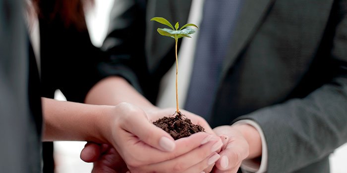 Webinar: Sembrando valor en las organizaciones 